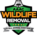 Madison Wildlife Removal
